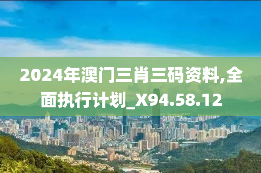 2024年澳门三肖三码资料,全面执行计划_X94.58.12