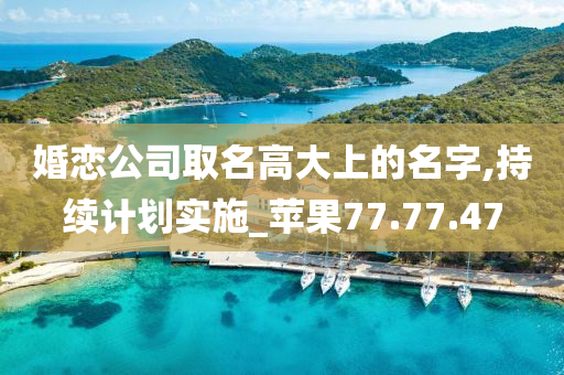 婚恋公司取名高大上的名字,持续计划实施_苹果77.77.47