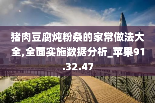 猪肉豆腐炖粉条的家常做法大全,全面实施数据分析_苹果91.32.47