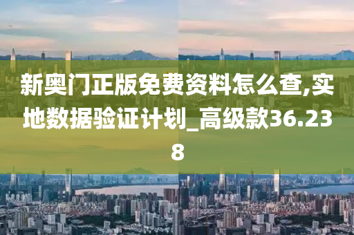 新奥门正版免费资料怎么查,实地数据验证计划_高级款36.238