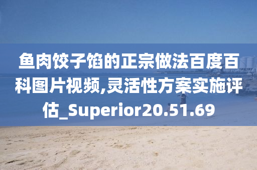 鱼肉饺子馅的正宗做法百度百科图片视频,灵活性方案实施评估_Superior20.51.69