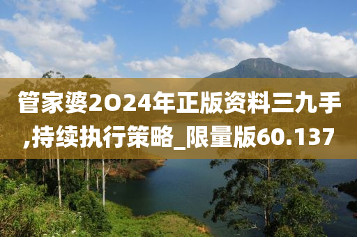 管家婆2O24年正版资料三九手,持续执行策略_限量版60.137