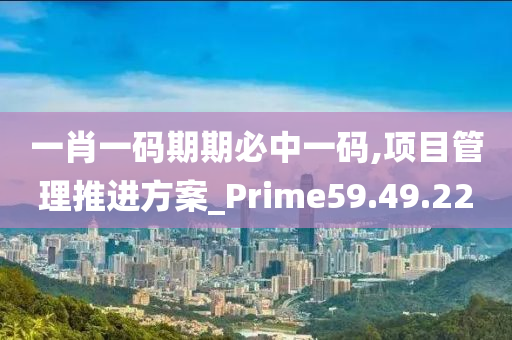 一肖一码期期必中一码,项目管理推进方案_Prime59.49.22