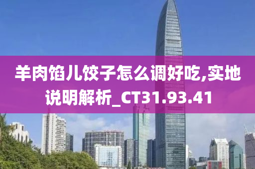 羊肉馅儿饺子怎么调好吃,实地说明解析_CT31.93.41