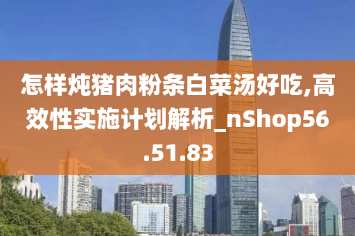 怎样炖猪肉粉条白菜汤好吃,高效性实施计划解析_nShop56.51.83