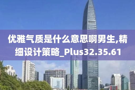 优雅气质是什么意思啊男生,精细设计策略_Plus32.35.61