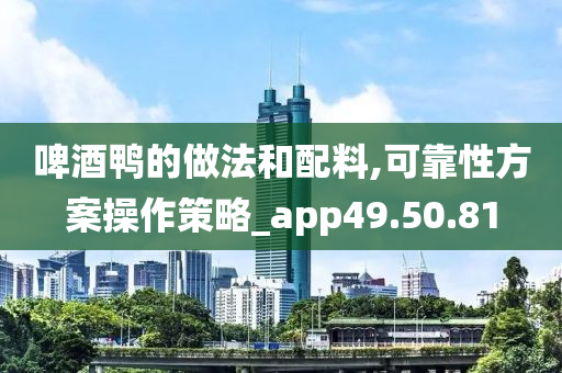 啤酒鸭的做法和配料,可靠性方案操作策略_app49.50.81