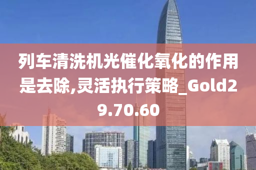 列车清洗机光催化氧化的作用是去除,灵活执行策略_Gold29.70.60