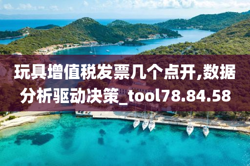 玩具增值税发票几个点开,数据分析驱动决策_tool78.84.58