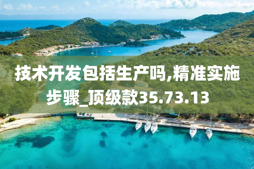 技术开发包括生产吗,精准实施步骤_顶级款35.73.13