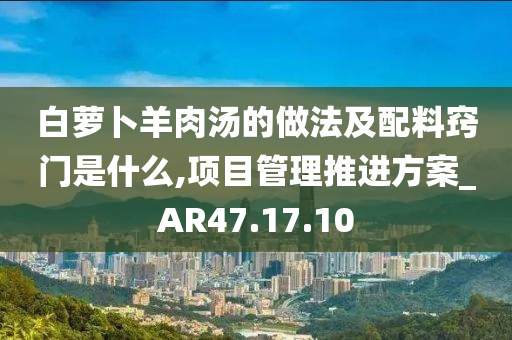 白萝卜羊肉汤的做法及配料窍门是什么,项目管理推进方案_AR47.17.10