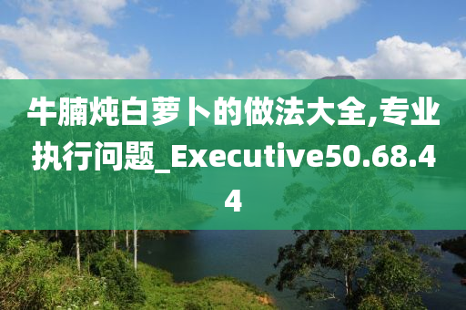 牛腩炖白萝卜的做法大全,专业执行问题_Executive50.68.44