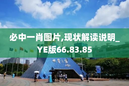 必中一肖图片,现状解读说明_YE版66.83.85