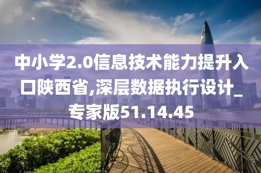 中小学2.0信息技术能力提升入口陕西省,深层数据执行设计_专家版51.14.45