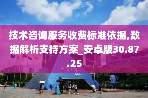 技术咨询服务收费标准依据,数据解析支持方案_安卓版30.87.25